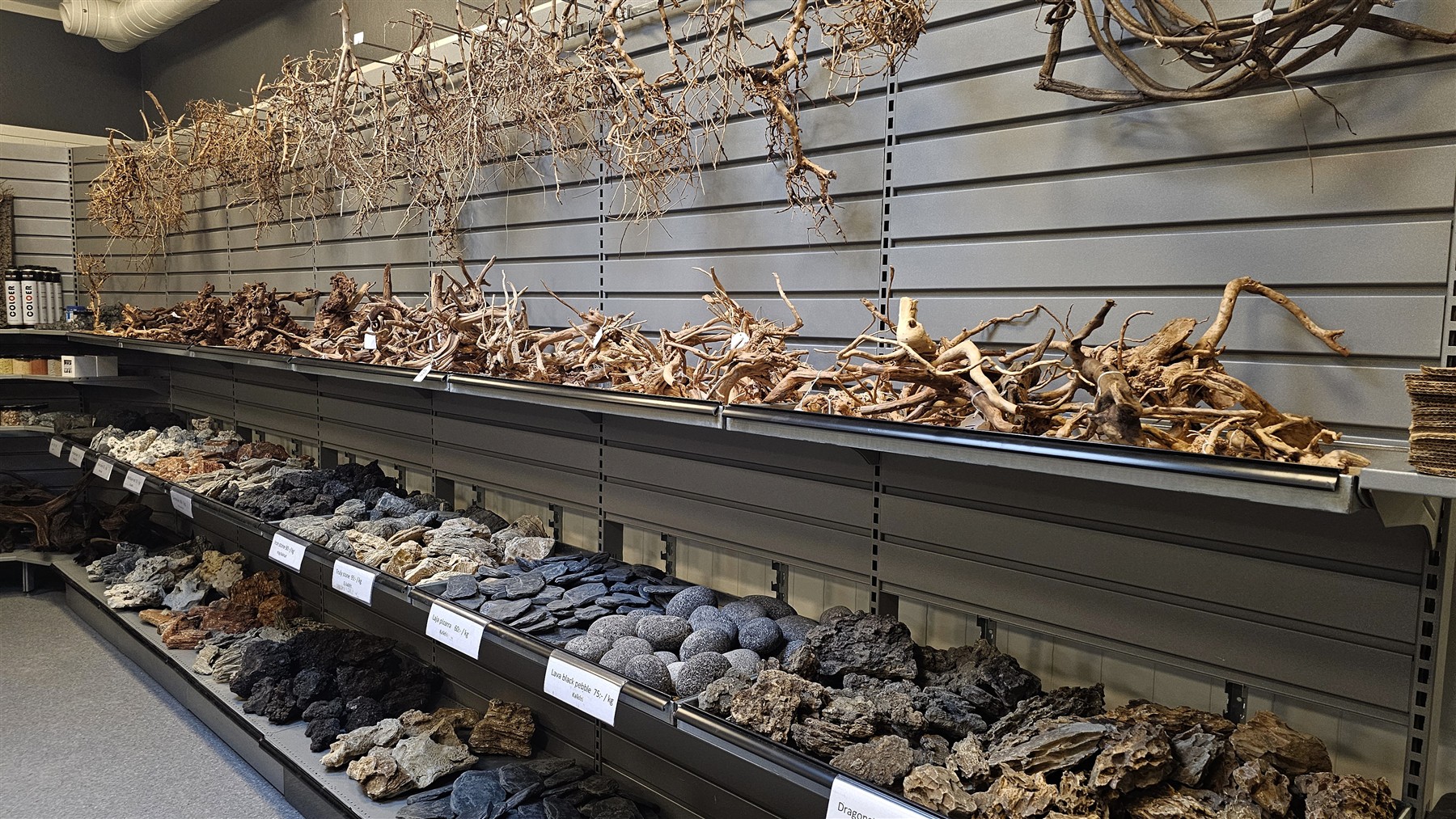 Miljö från Åleds Akvarium 4